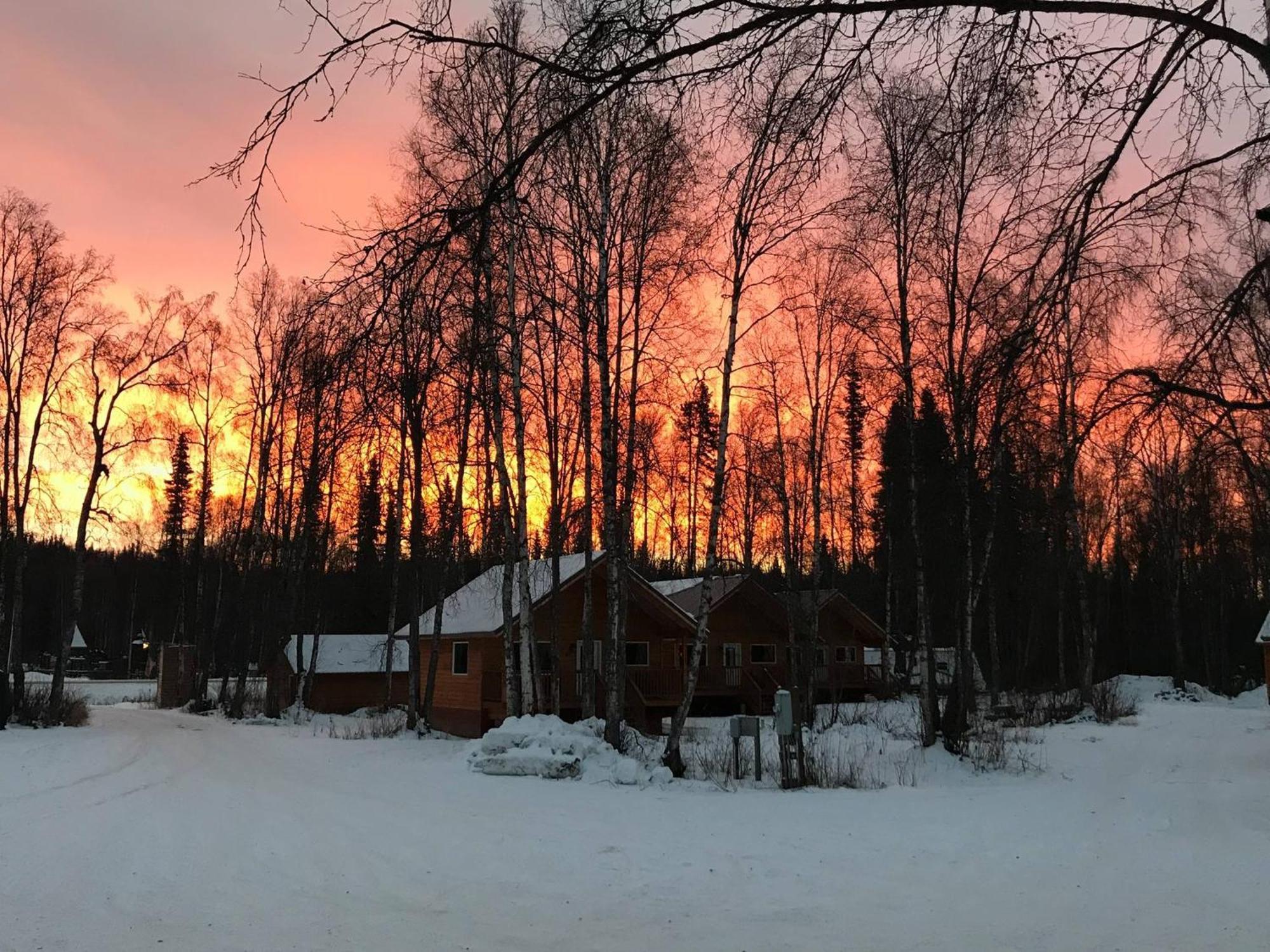 Susitna River Lodging, Suites Talkeetna Eksteriør billede
